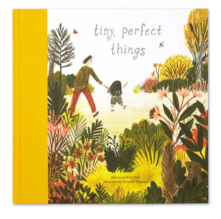 Compendium Tiny Perfect Things Book